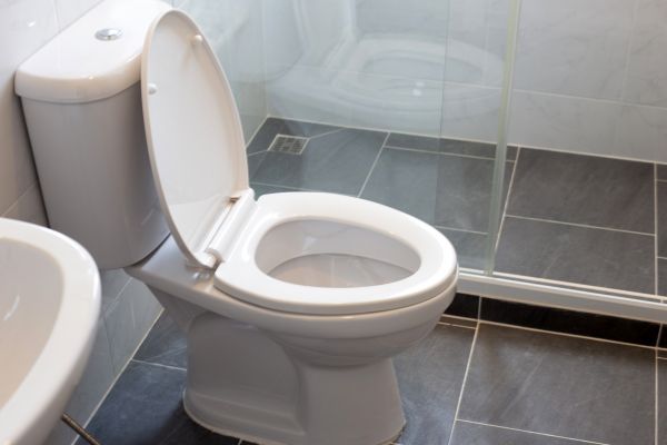 Cost of Toilet Replacement in Kansas City