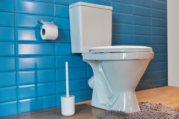 Cost of Toilet Tank Repair in Kansas City
