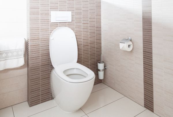 Cost of Toilet Plumbing Installation in Kansas City